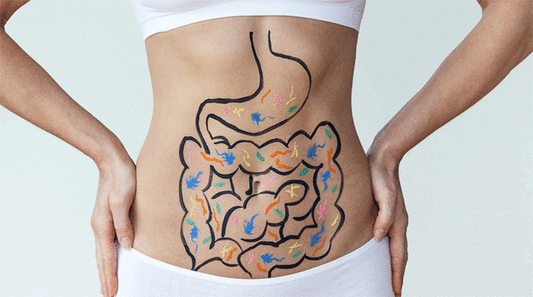 Gut Health Supplement Recommendations to Improve Digestion + Get in Shape