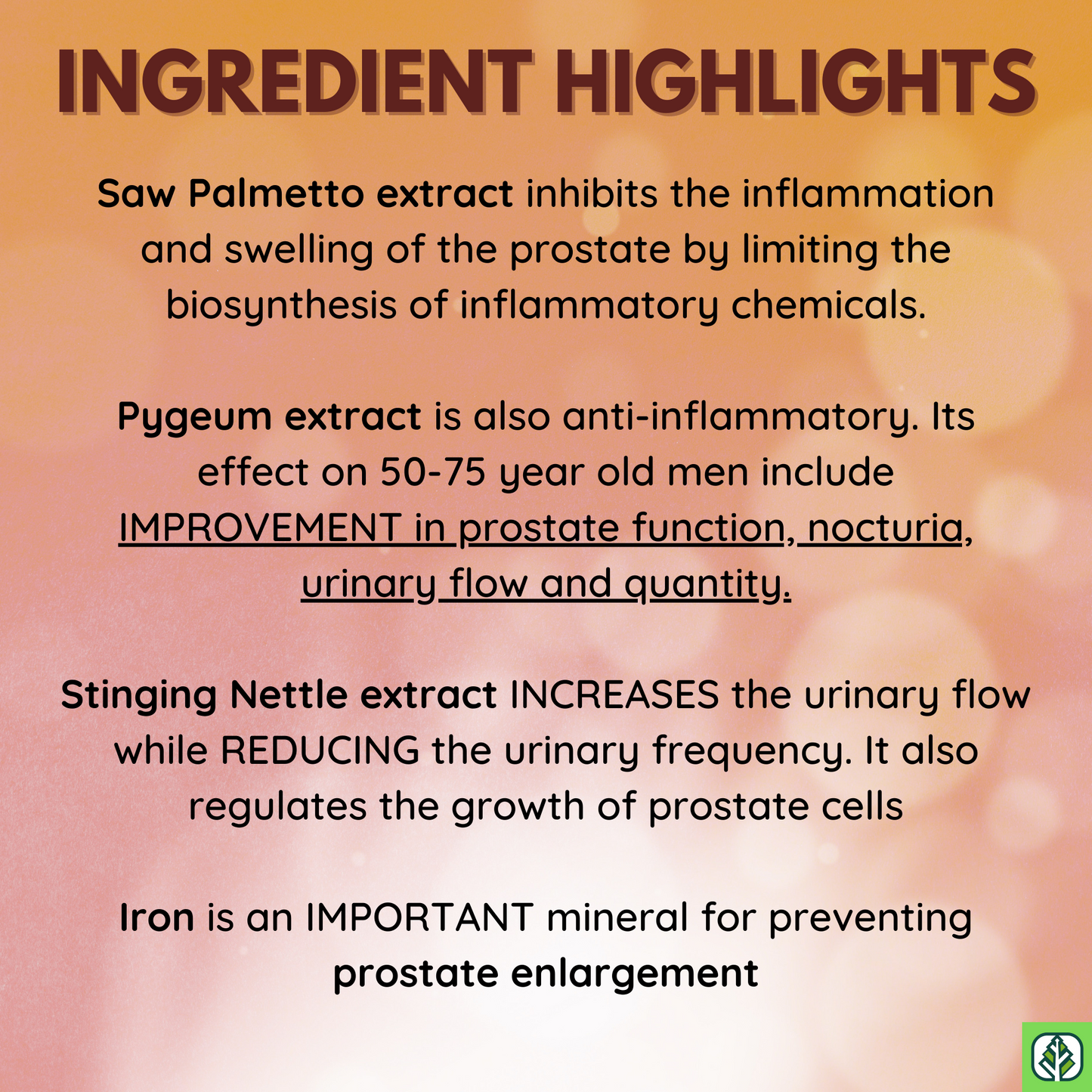 ProstaMen
