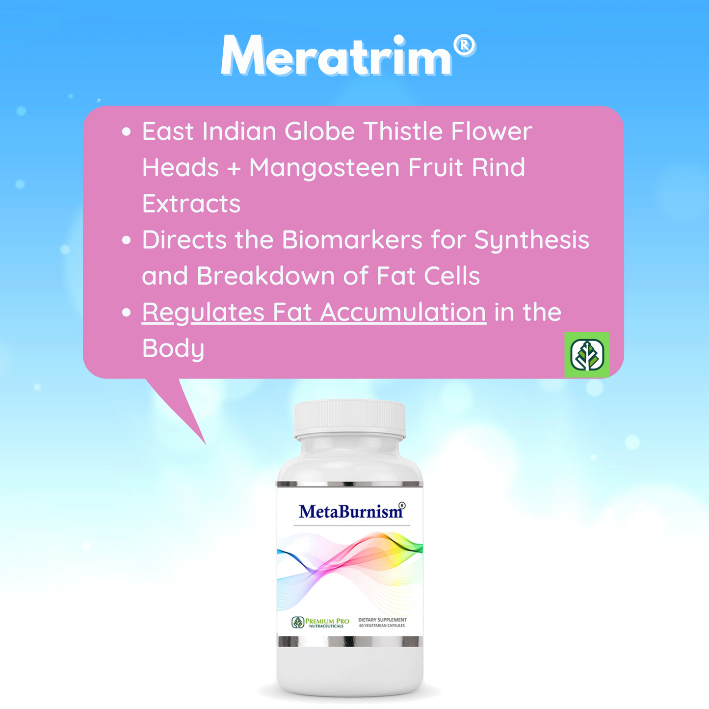 MetaBurnism for Weight Loss & Insulin Resistance