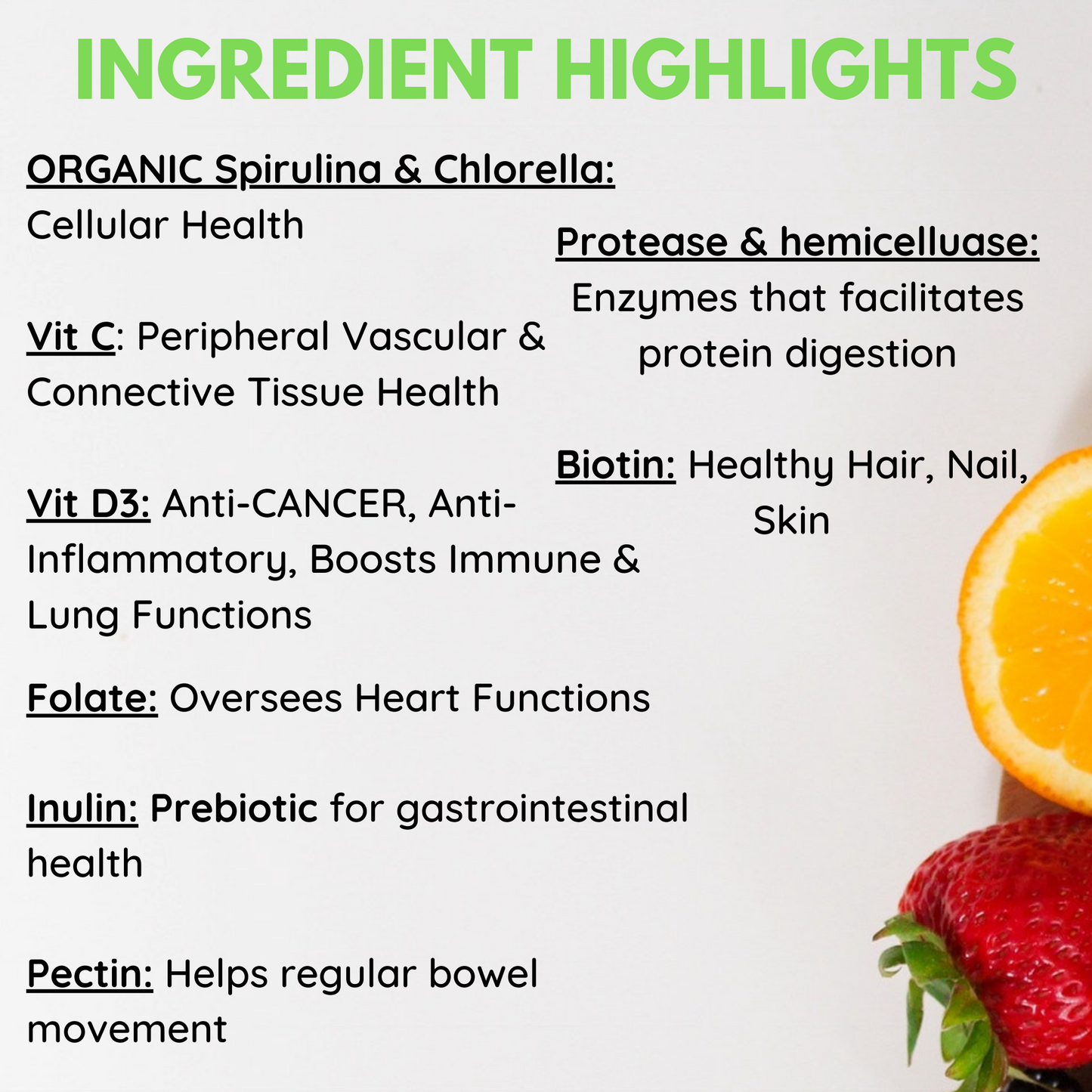 Comprehensive Health: Plant-Based Protein Powder + Multivitamins + Superfood Blend